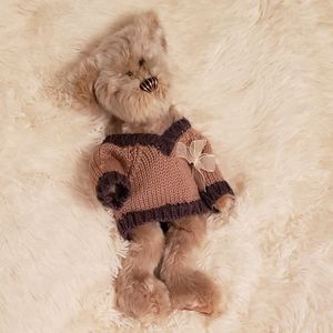 Progressive plush bear